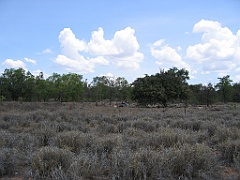 CairnsTC239 Tablelands